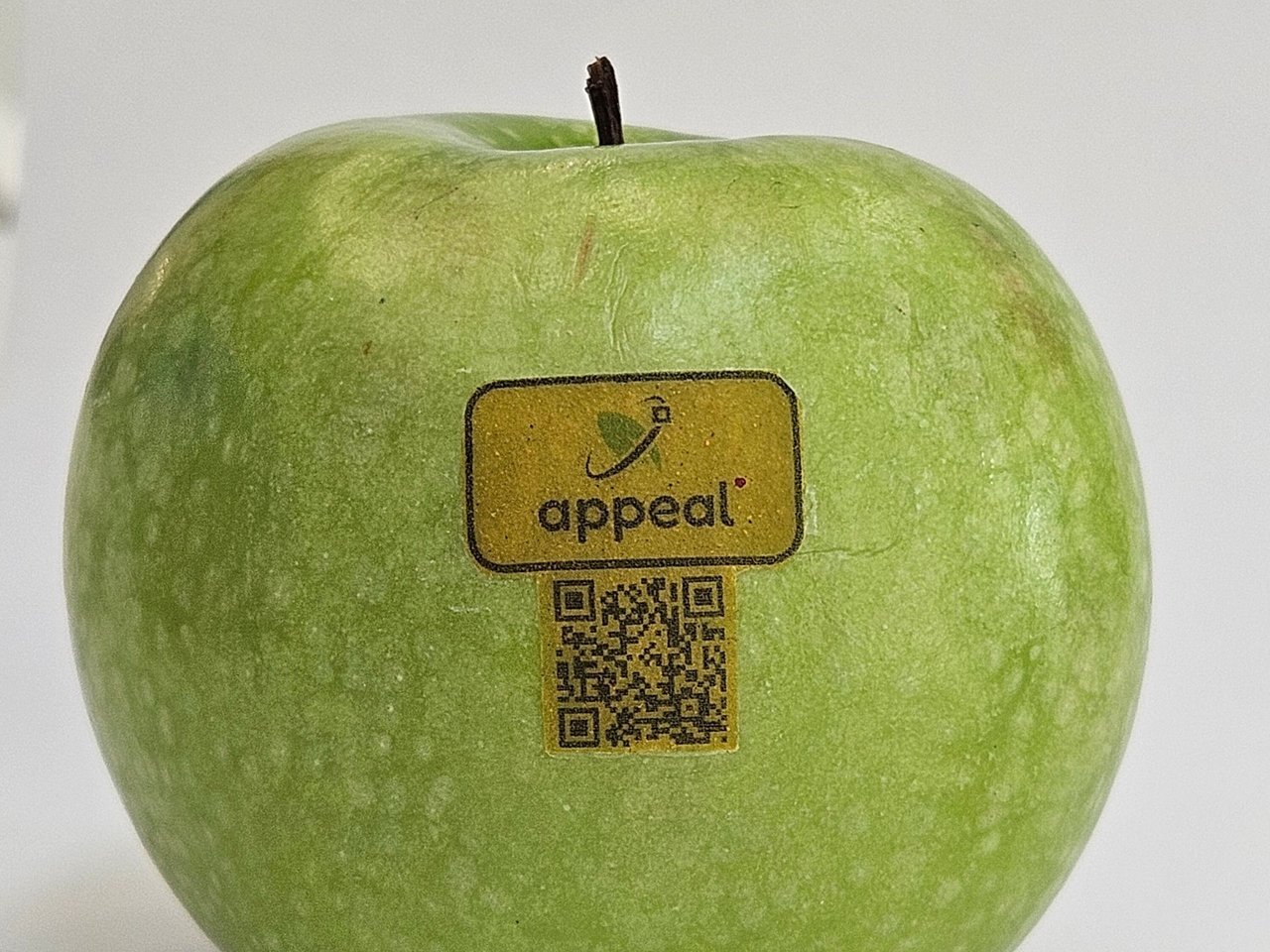The label