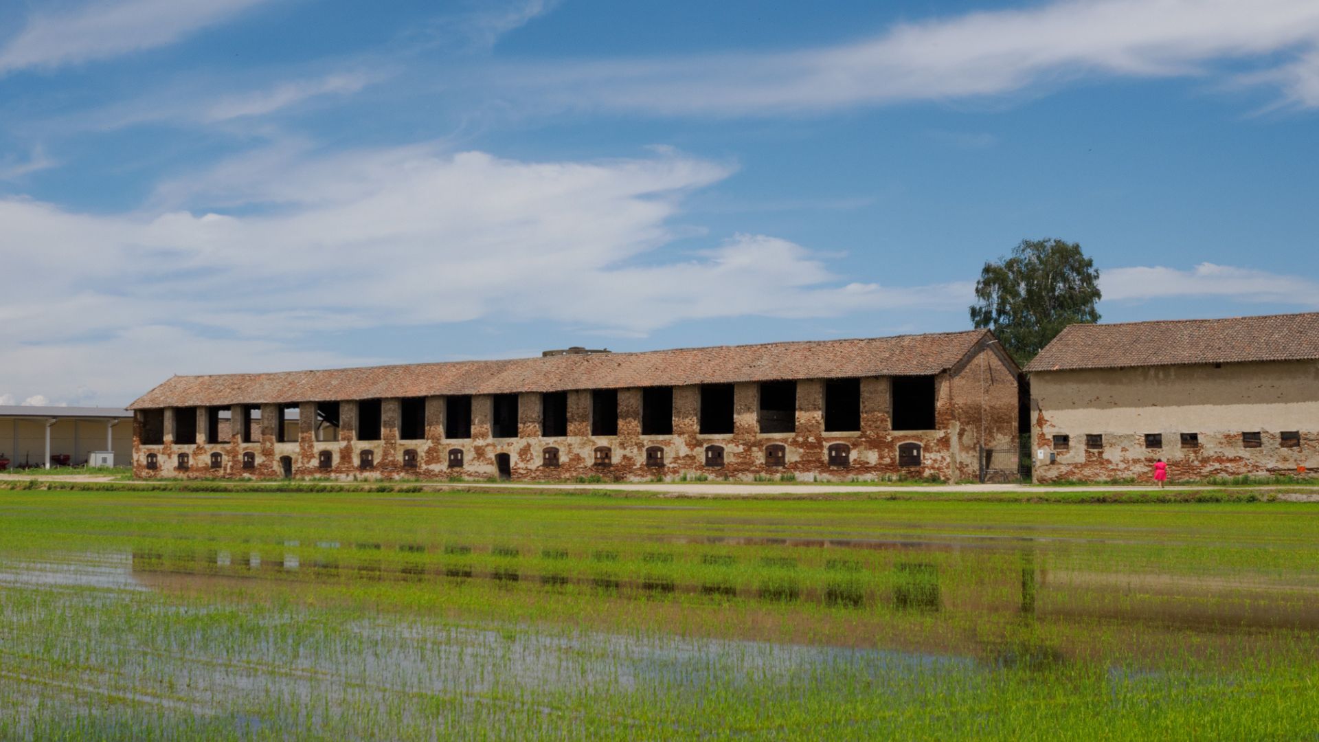 Old farm with rice fields near Dorno, Lomellina